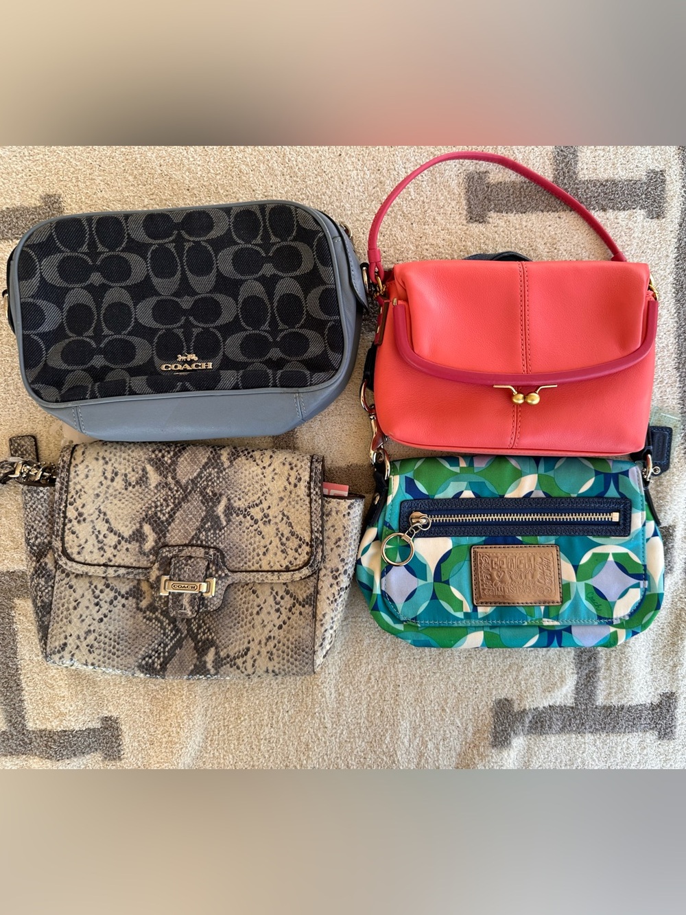 Coach bag bundle